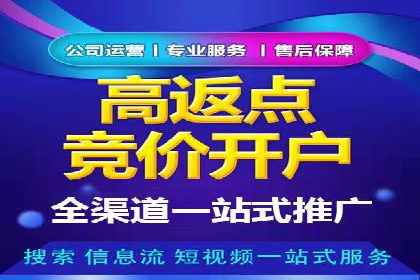 百度推广案例：成功打造行业领军品牌